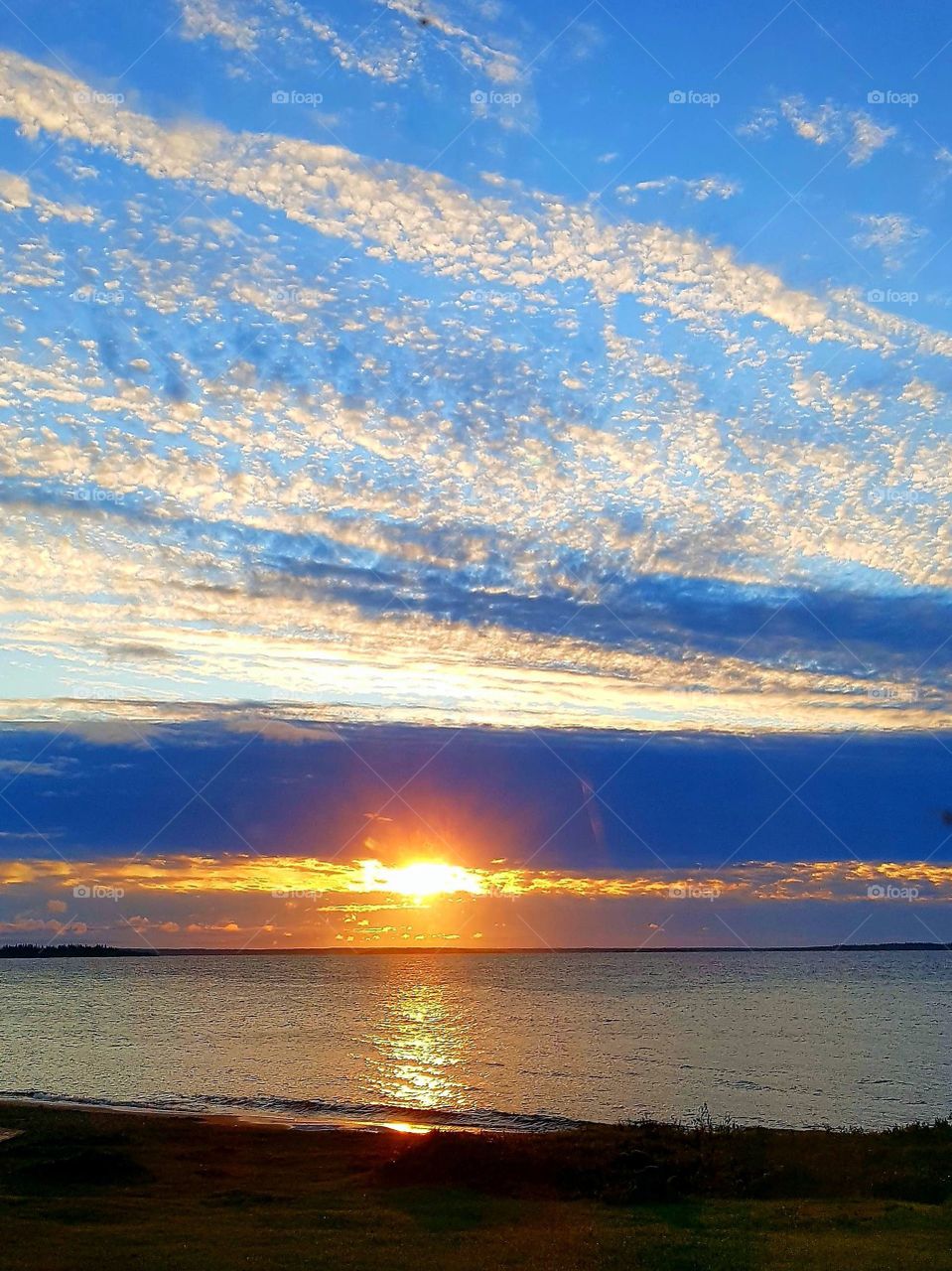 early morning in august