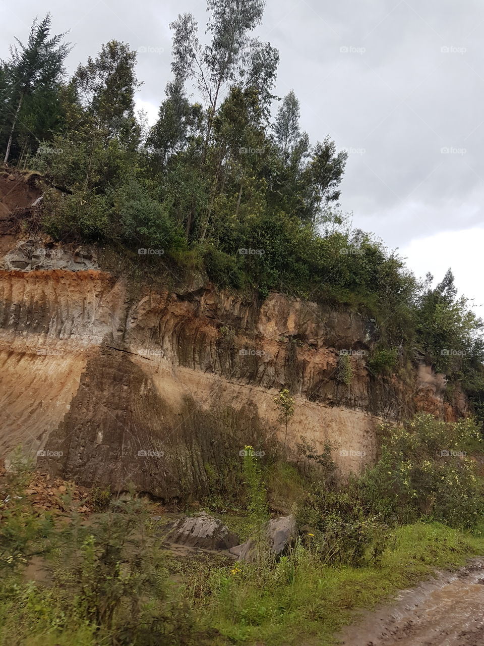 A newly dug quarry, the rocks and trees just give a perfect nature picture