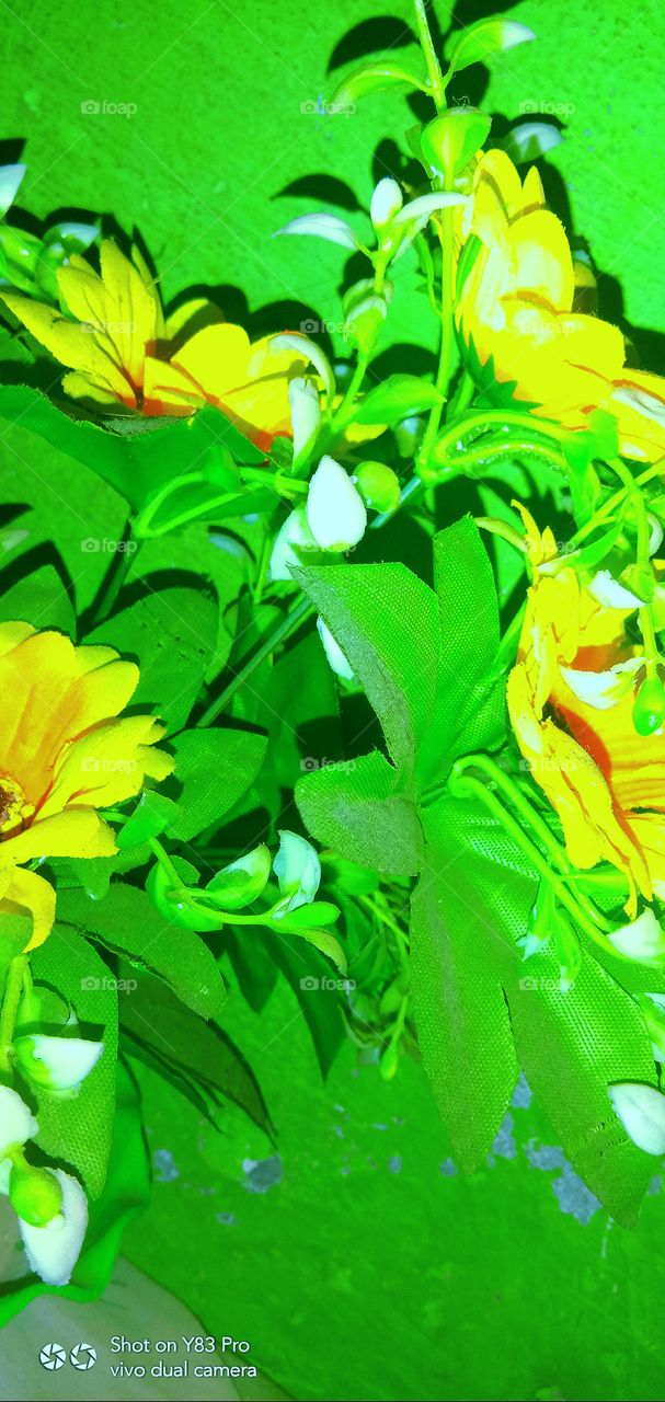 #foap #infoapartemen #foapjuly18 #foapaug18 #foapfeb18 #foapapril17 #foapers #foapjune18 #fotografoaprendiz #sfoapprentices #foaper #infoapartment #foapmission #foapmay18 #foapapr18 #foapit #infoaplikasipaytren #infoapple #foapom #foapjan19 #infoapp