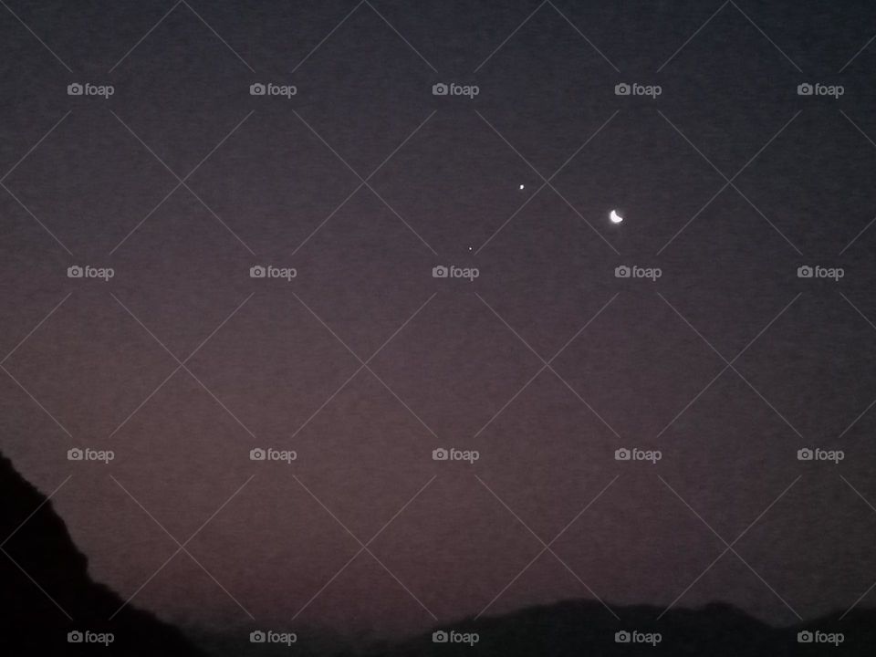 ravarma  Zoom, Triangle, Violet