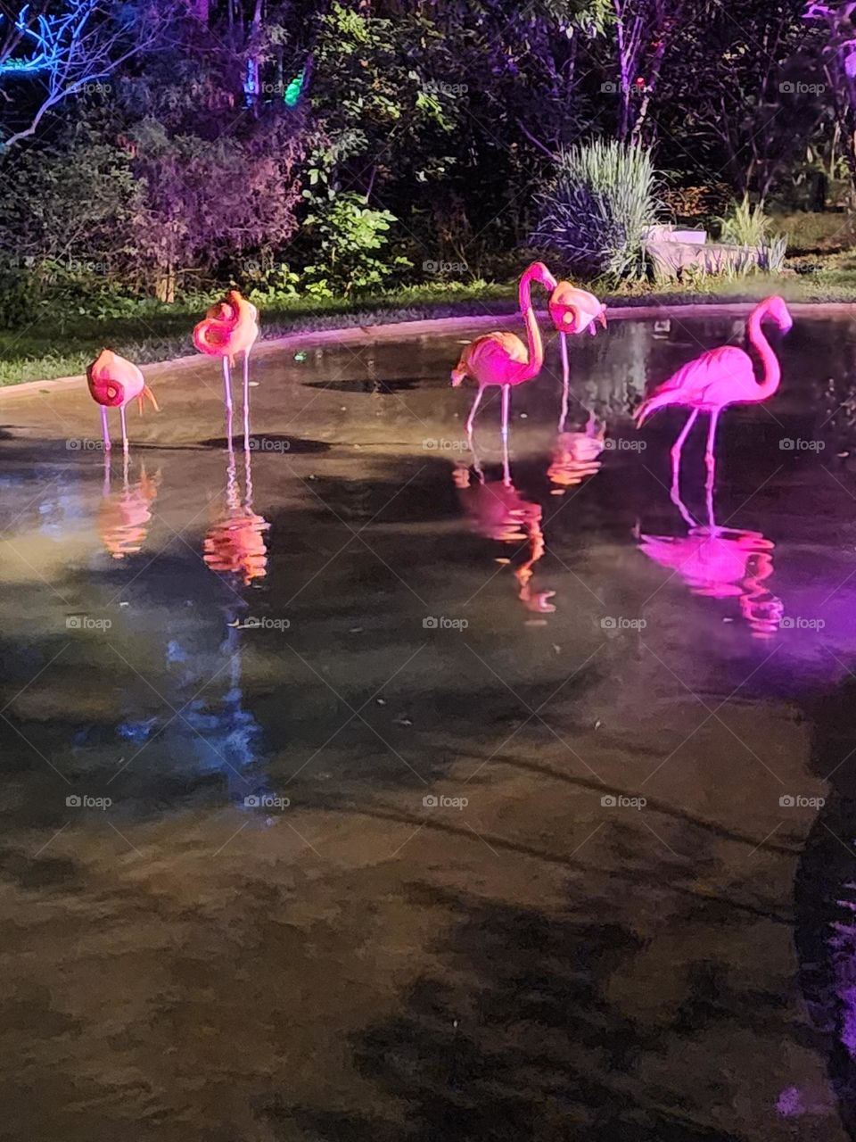 Neon Flamingo Friday Night