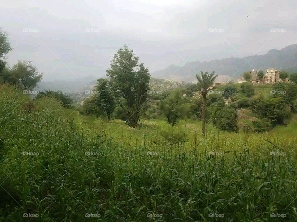 Glory be to God, the magnificent and picturesque view and the natural green trees are a view that is nothing more wonderful than it