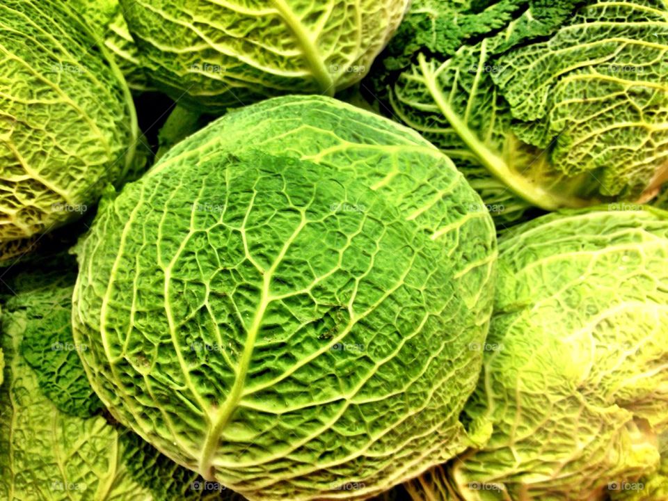 Savoy Cabbage