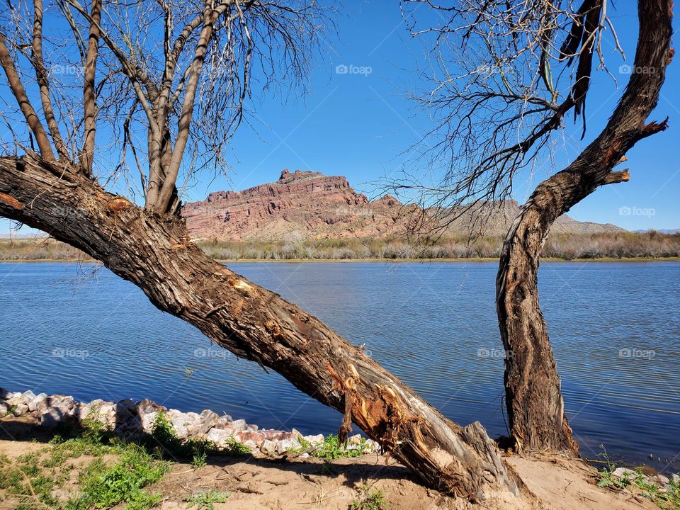 Mountain Between Two Trees