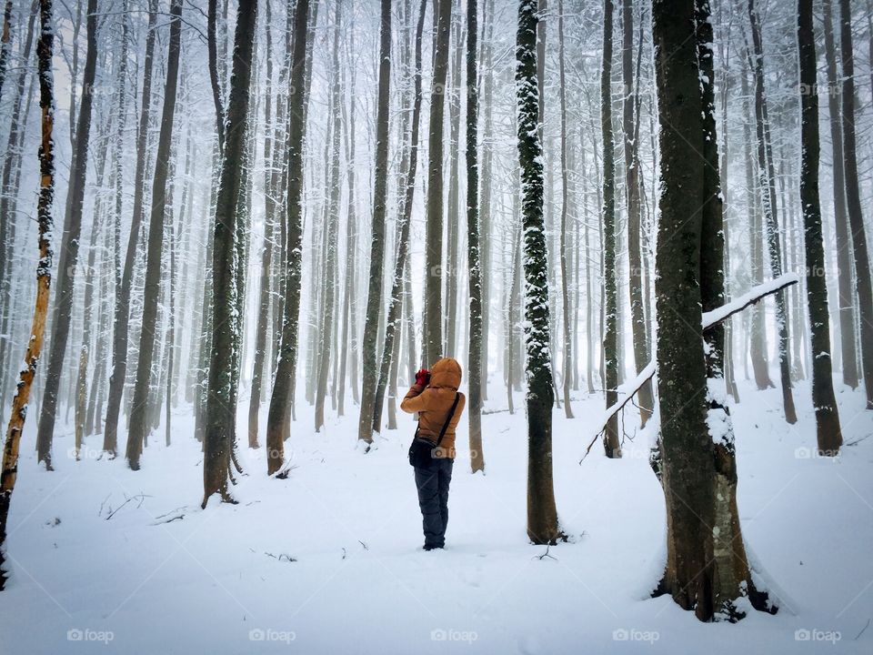 Back of woman in winter clothes hiking alone in a forest covered in snow taking photos