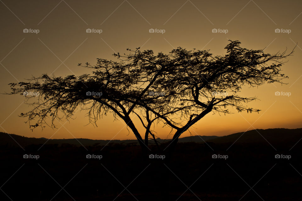 african sunset