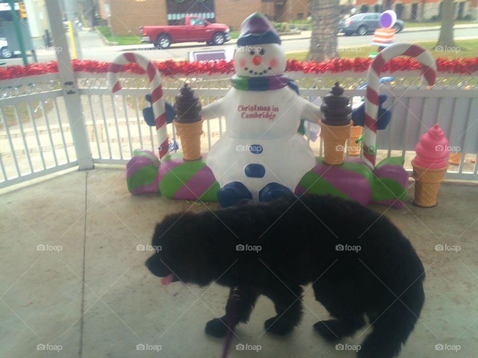 People, Mammal, Festival, Child, Strange