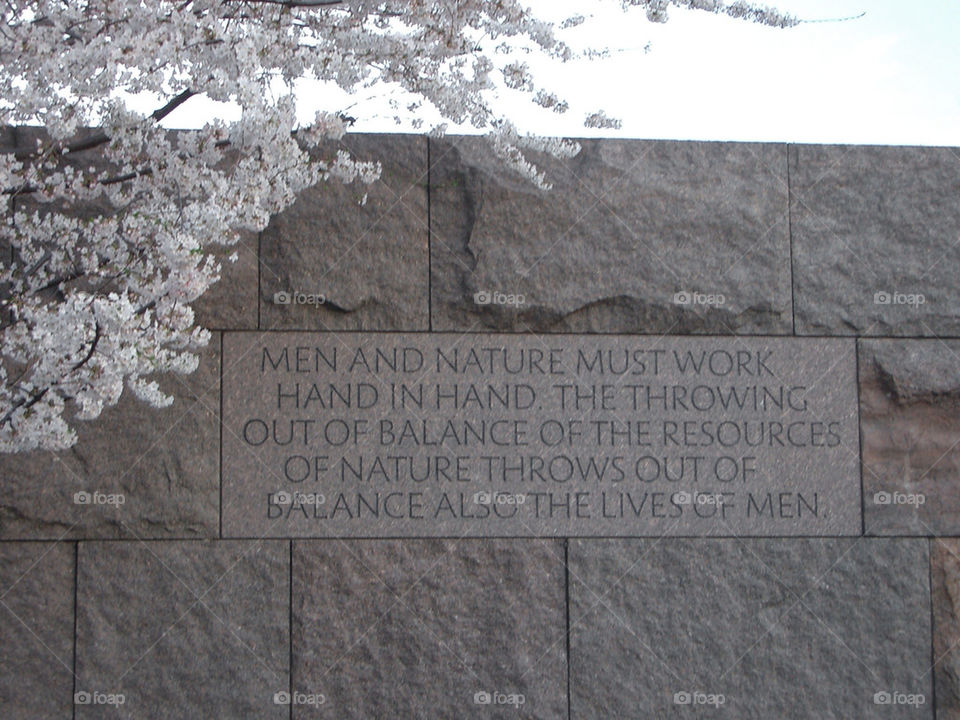 cherryblossoms fdr fdrmemorial washdc by tonee