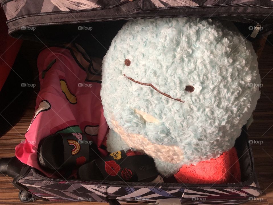 Tokage on the travel again 😜