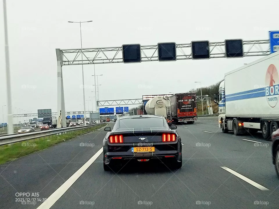 I love THAT car Mustang