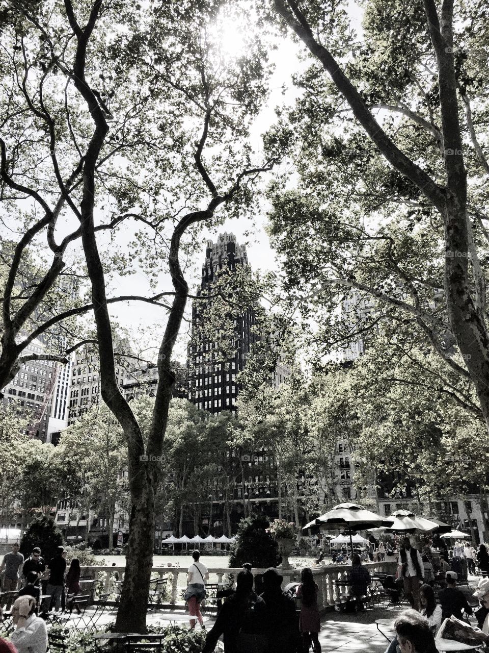New York City park