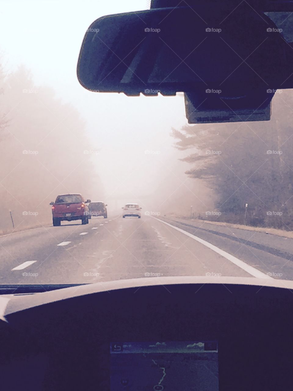 Driving through the mist