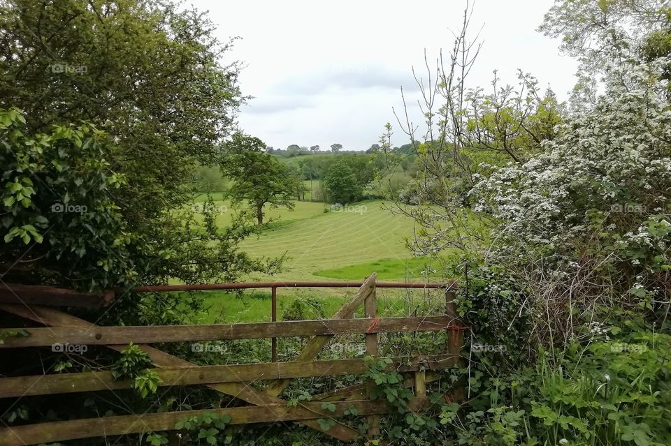 Rural landscape Cheshire UK