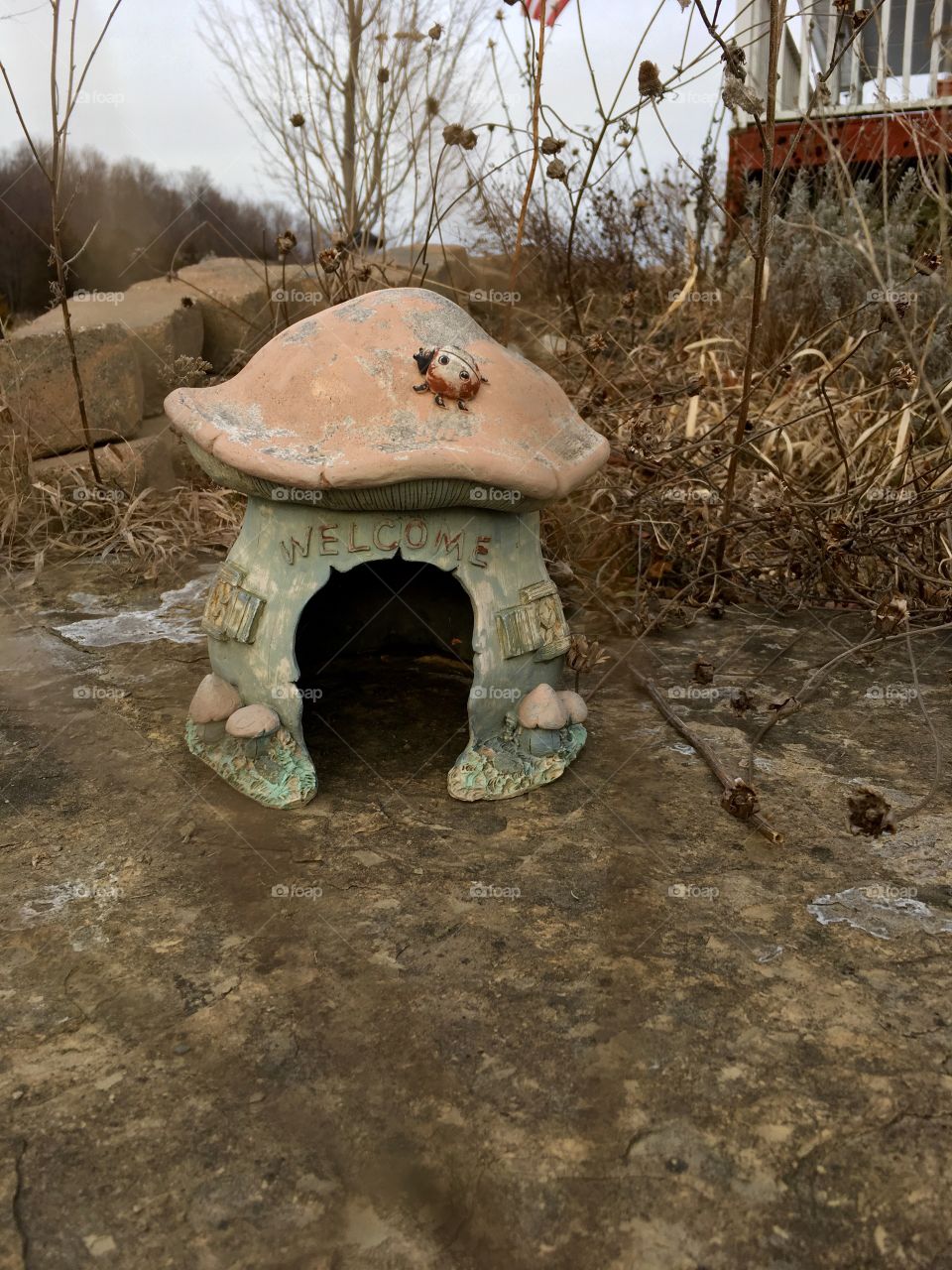 Toad house 