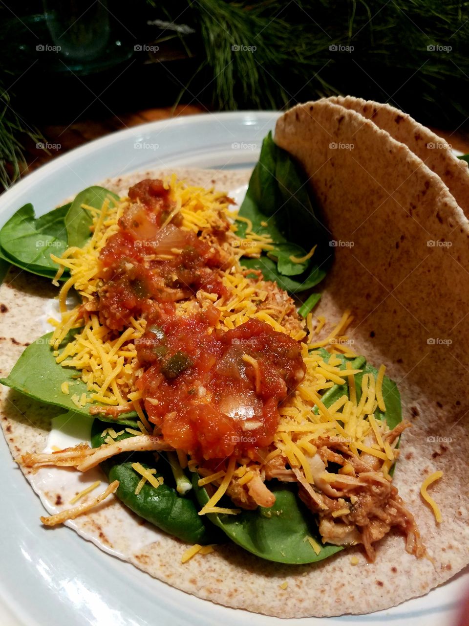 Shredded chicken tacos