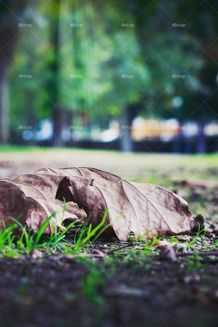 Naturel beauty place