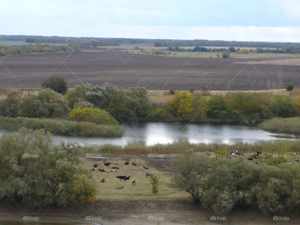 Осенние красоты природы