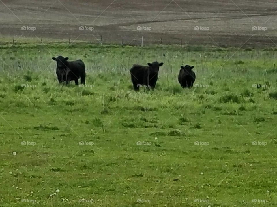 Driving the Back Roads and enjoying everything around us