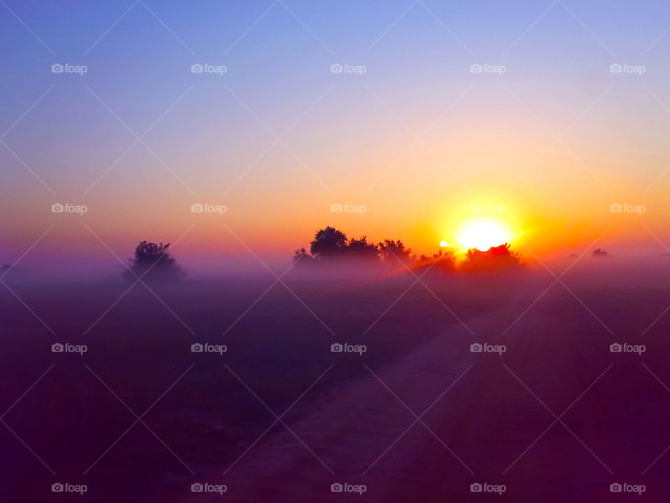 The road to sunrise through the misty field with silhouettes of trees at the horizon 