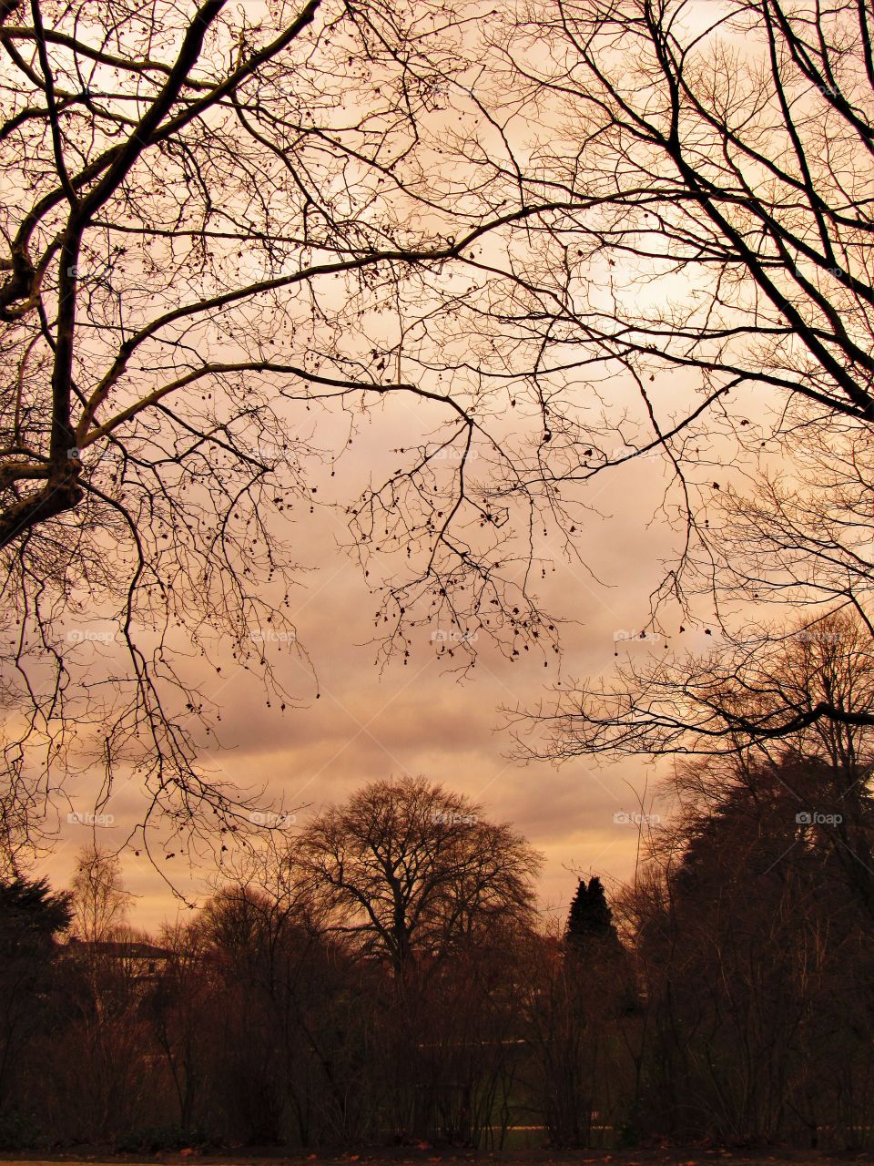 In the park