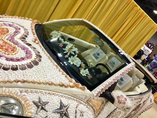 Seashell Tropical Car