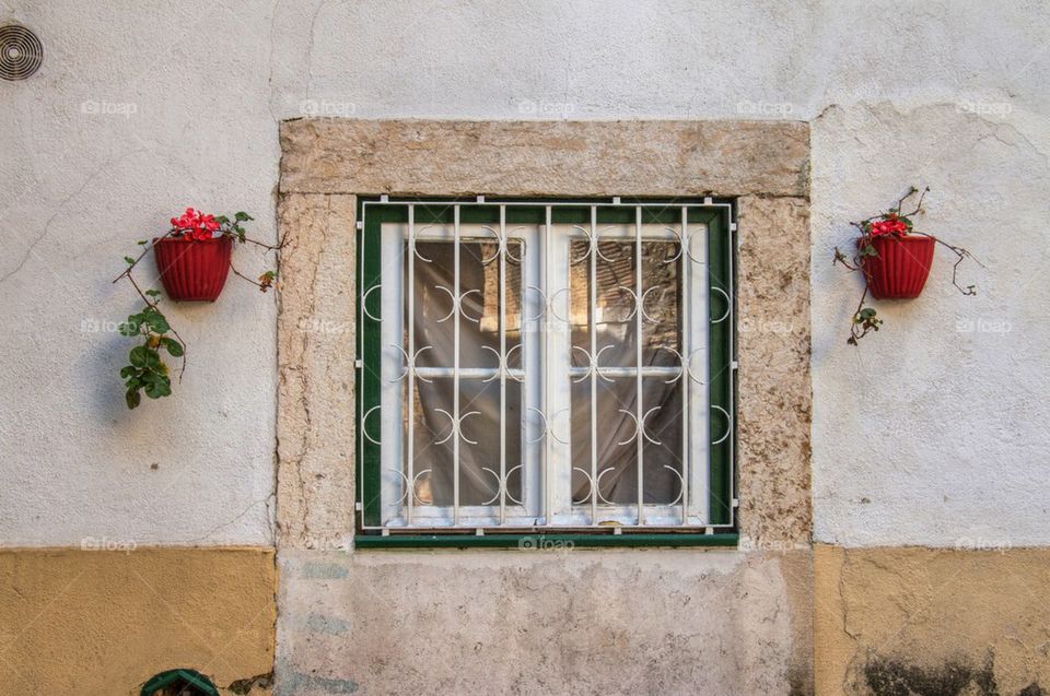 Lisbon window 