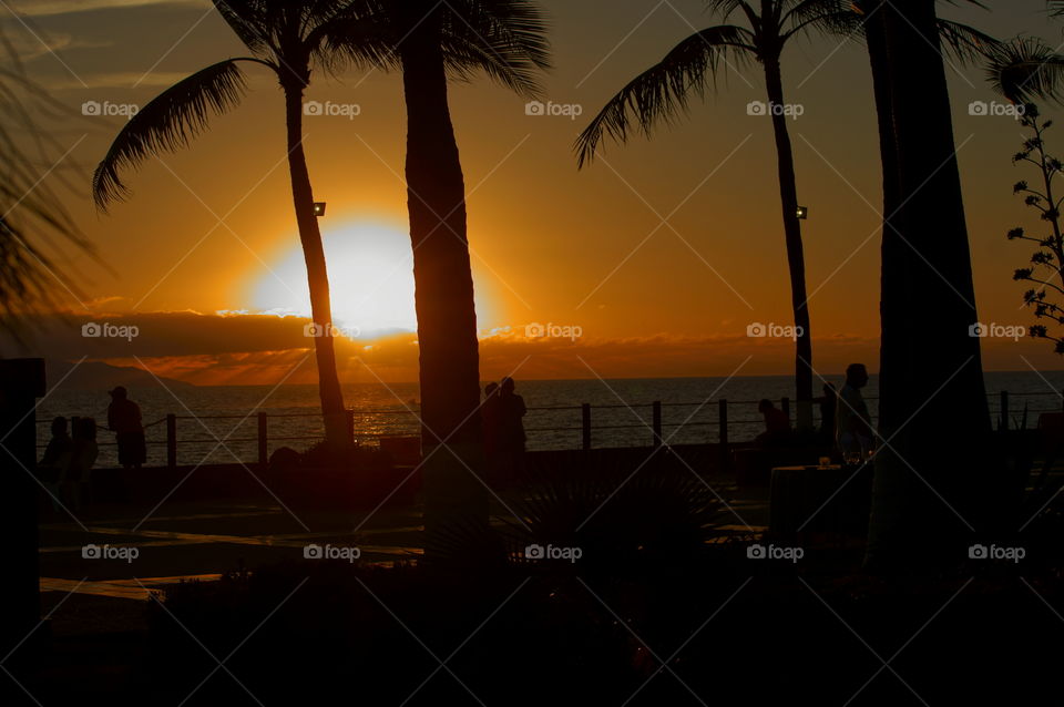 Sunsets of Puerto Vallarta