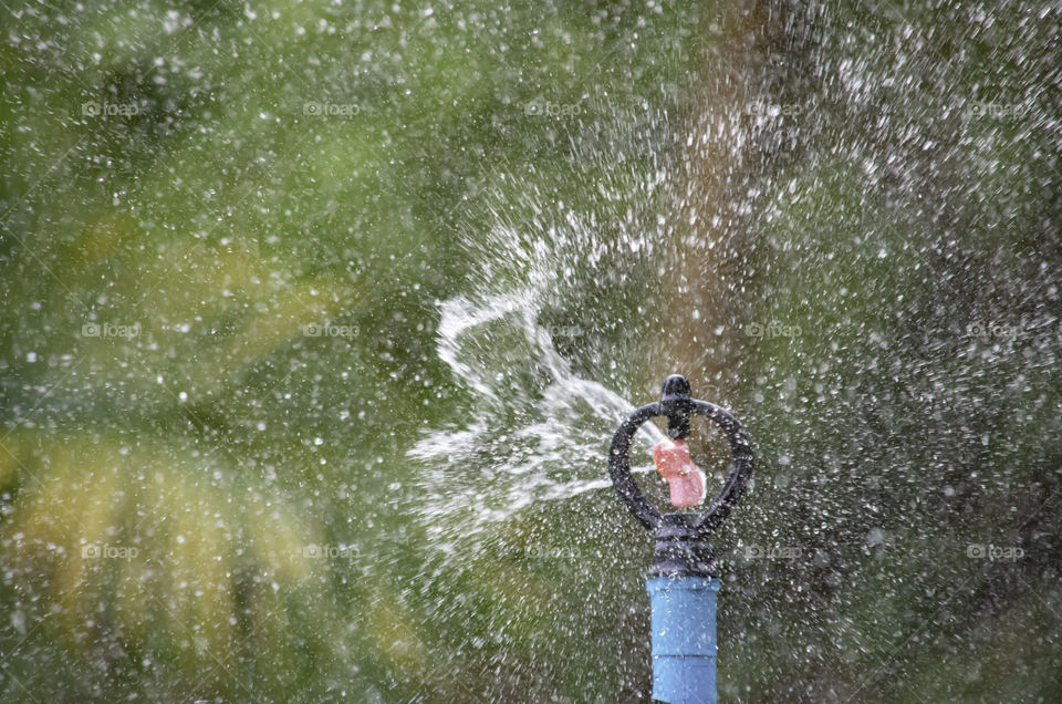 Sprinkler plastic are watered tree Background blurred leaves.