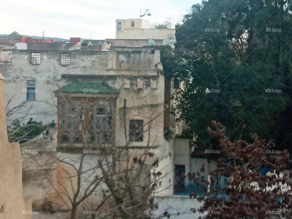 Old house's between the nature