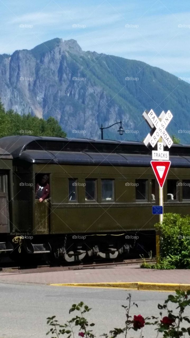 The past and the environment