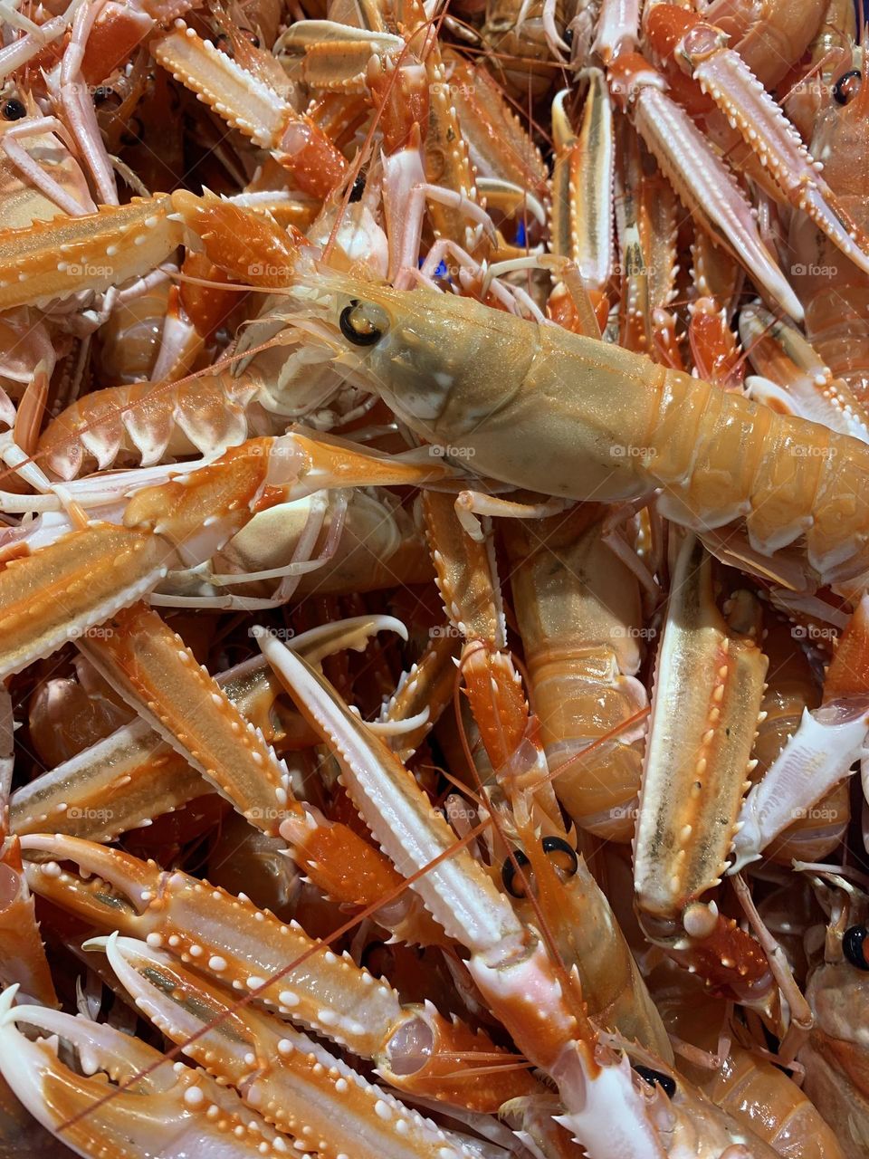 Editor’s Choice: Photo of The Week 