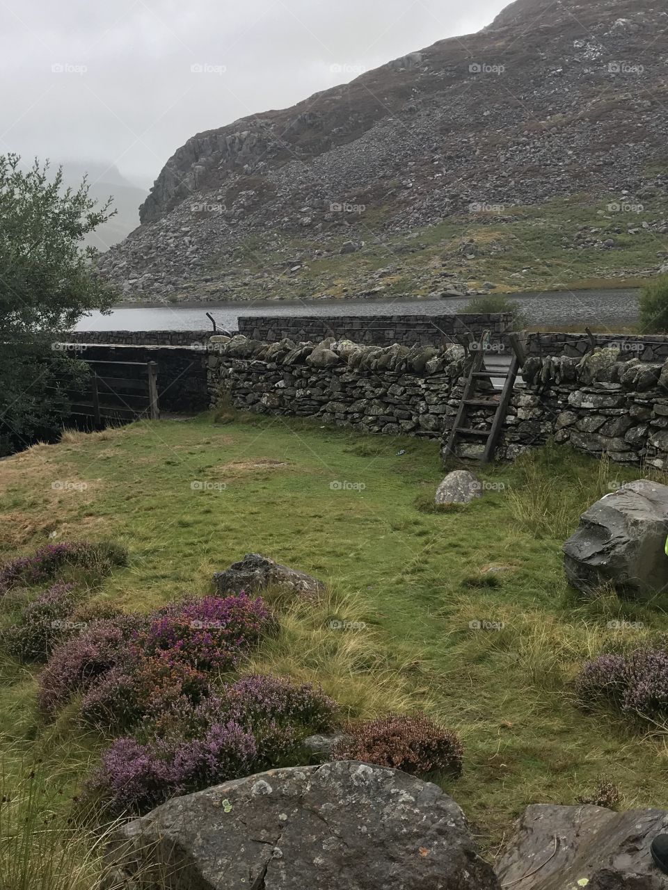 Shepherds’ pass over a stone wall by the lake