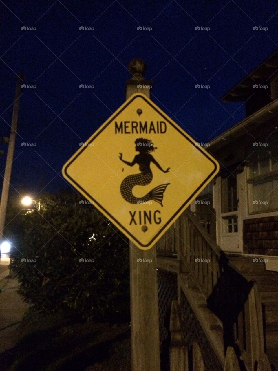 Mermaid Crossing