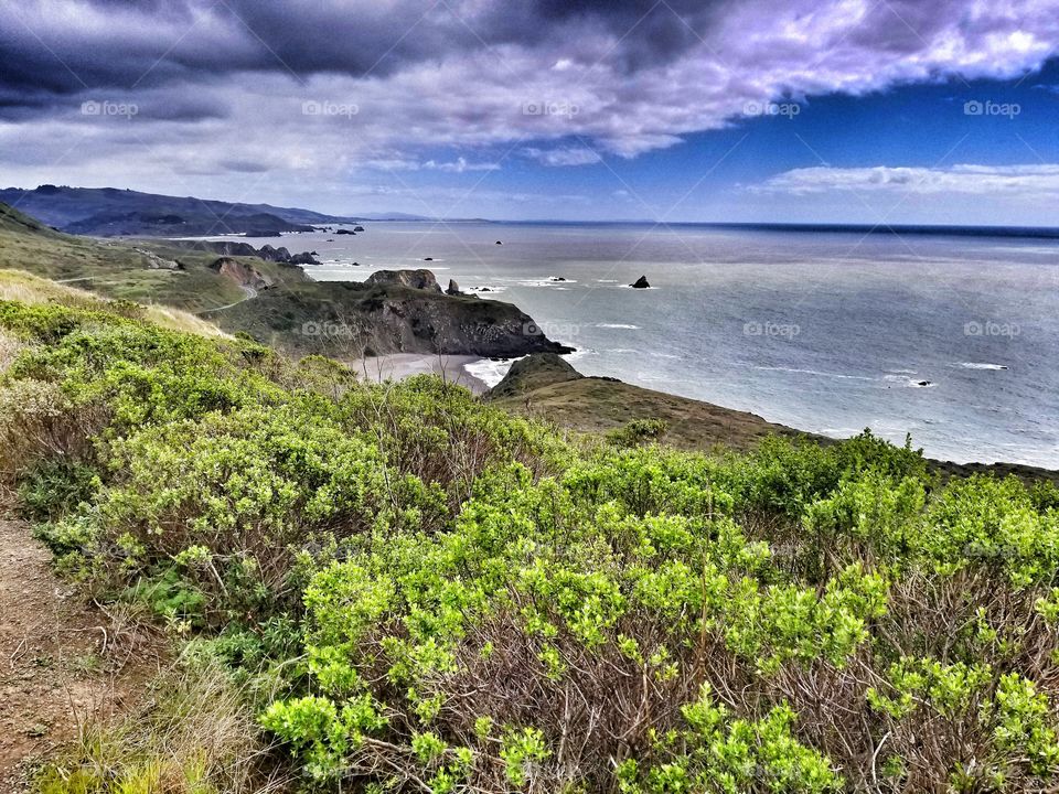 Somewhere Beyond the Sea