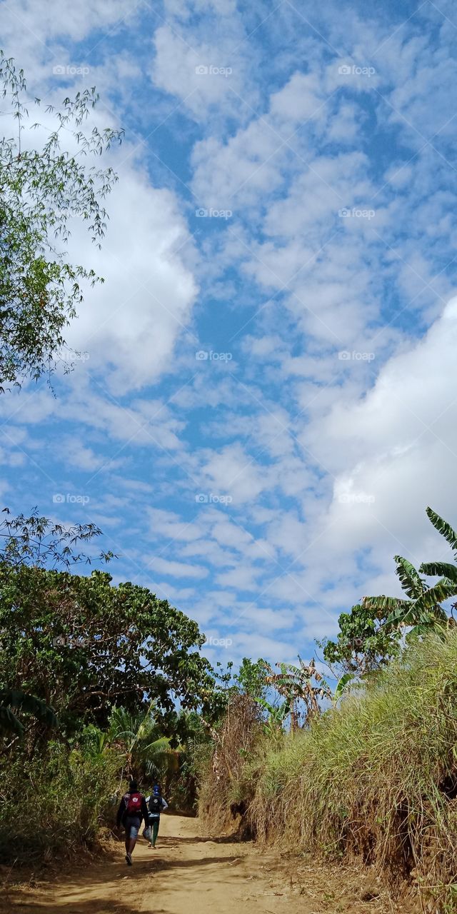 A beautiful blue sky.