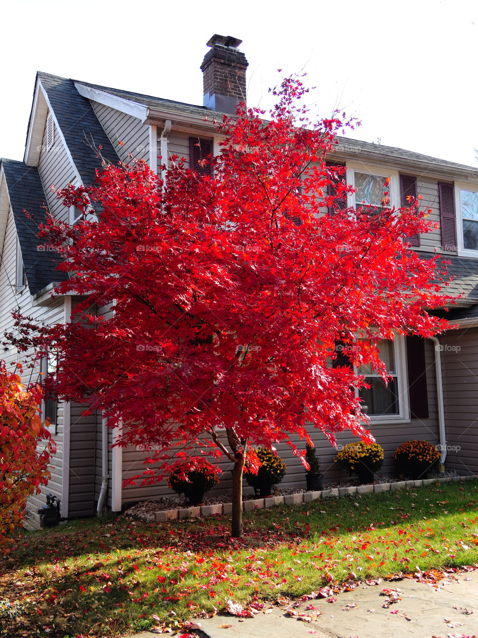 newburgh ny red tree house by delvec