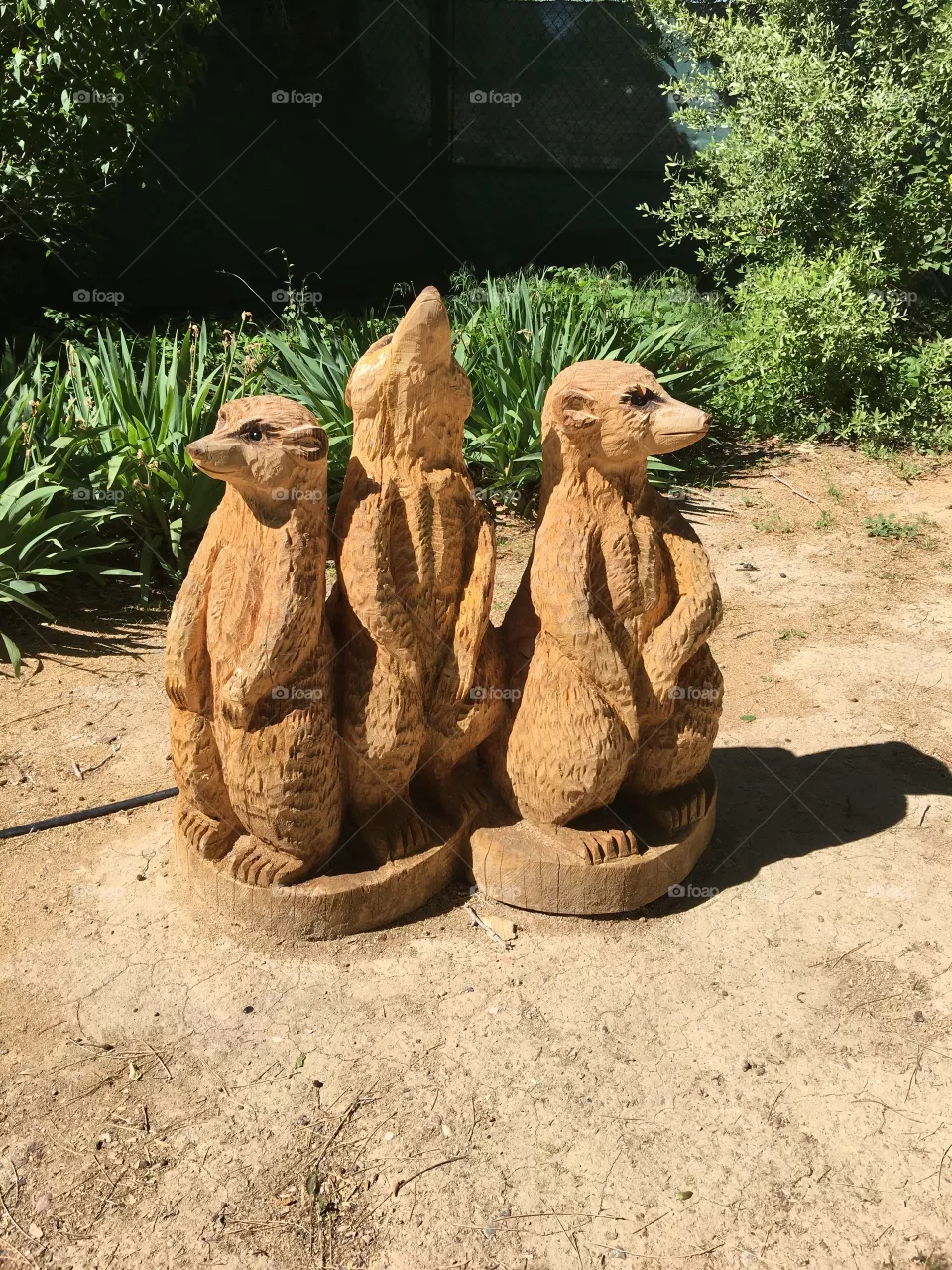 Zoo
