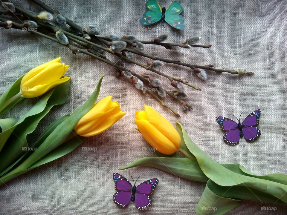 Flower, Desktop, Flora, Leaf, Nature