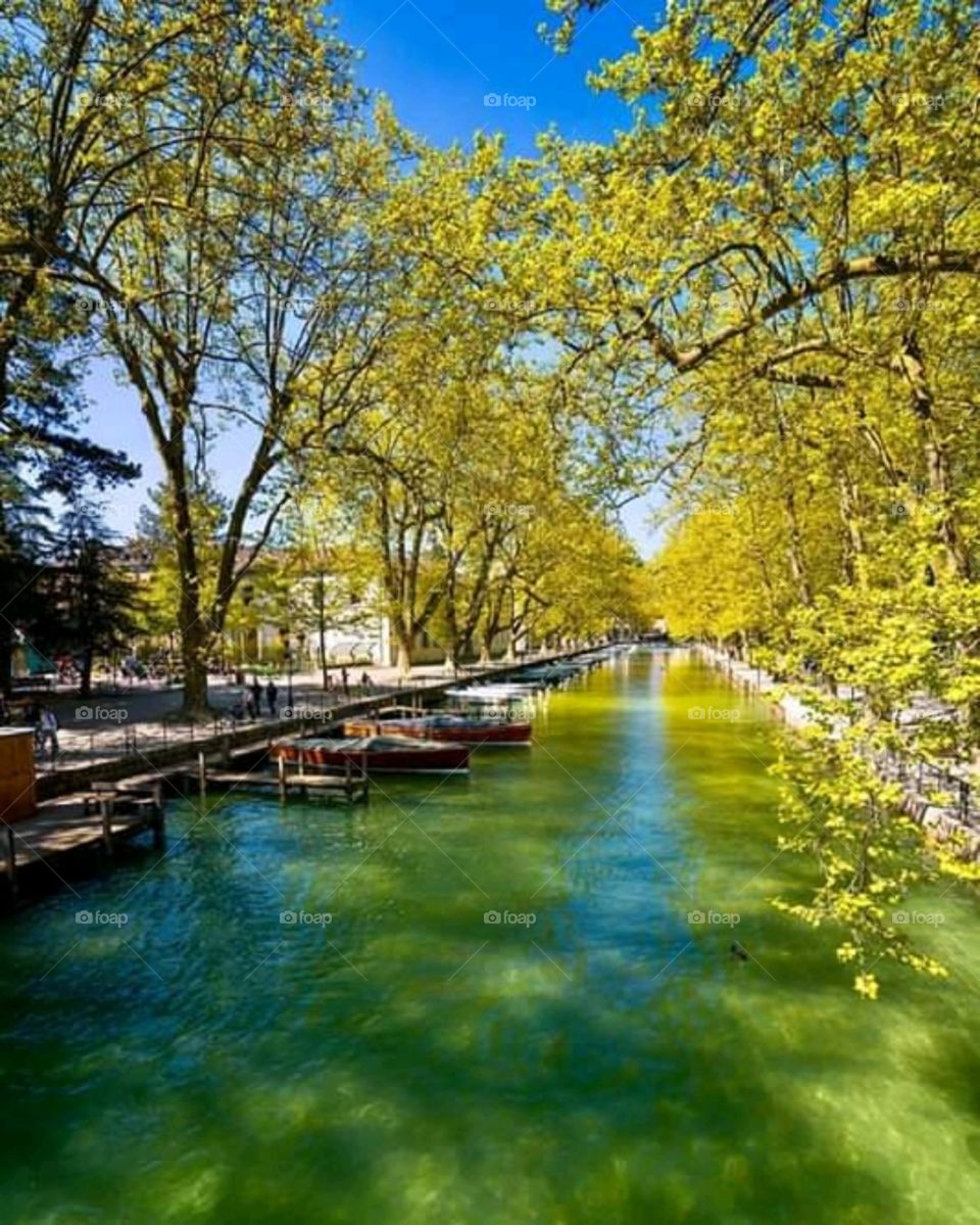 the color of the river in spring