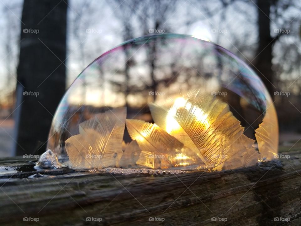 frozen bubble