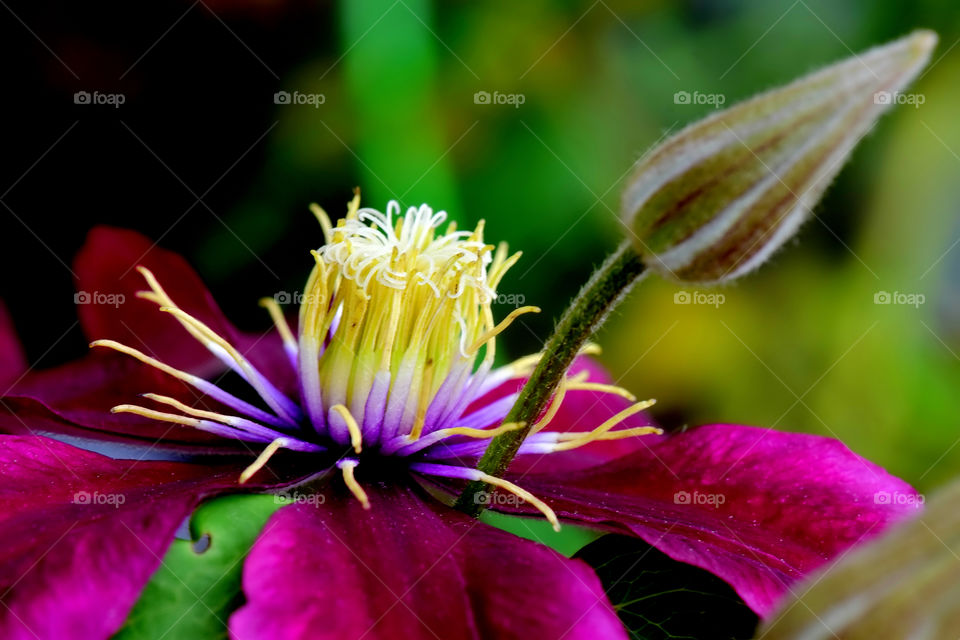 Elevated view of pink flower