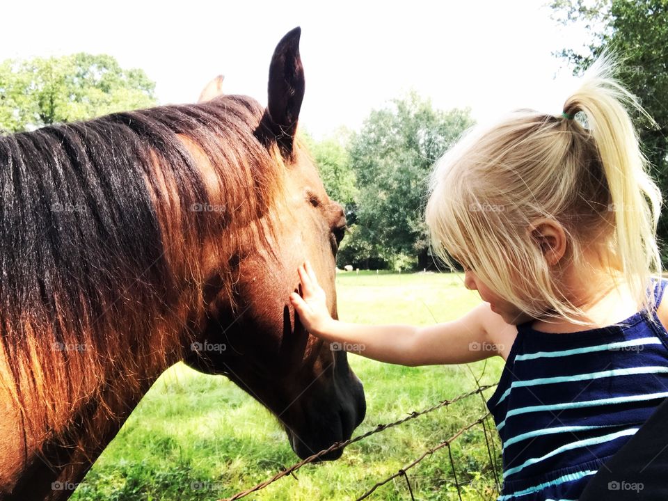 Pony love