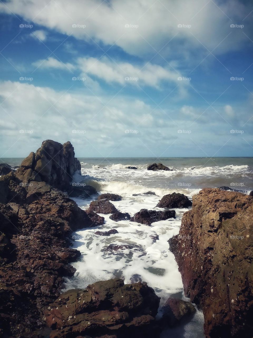 photography pictures of trees, mountains, cloves, rocks, sky, sea, sea