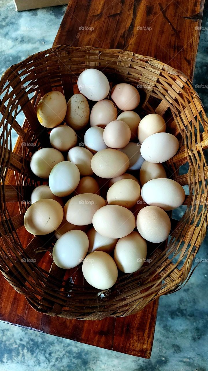 Ovos fresquinhos colhidos no fim da tarde, gratidao as galinhas por tanta proteína.