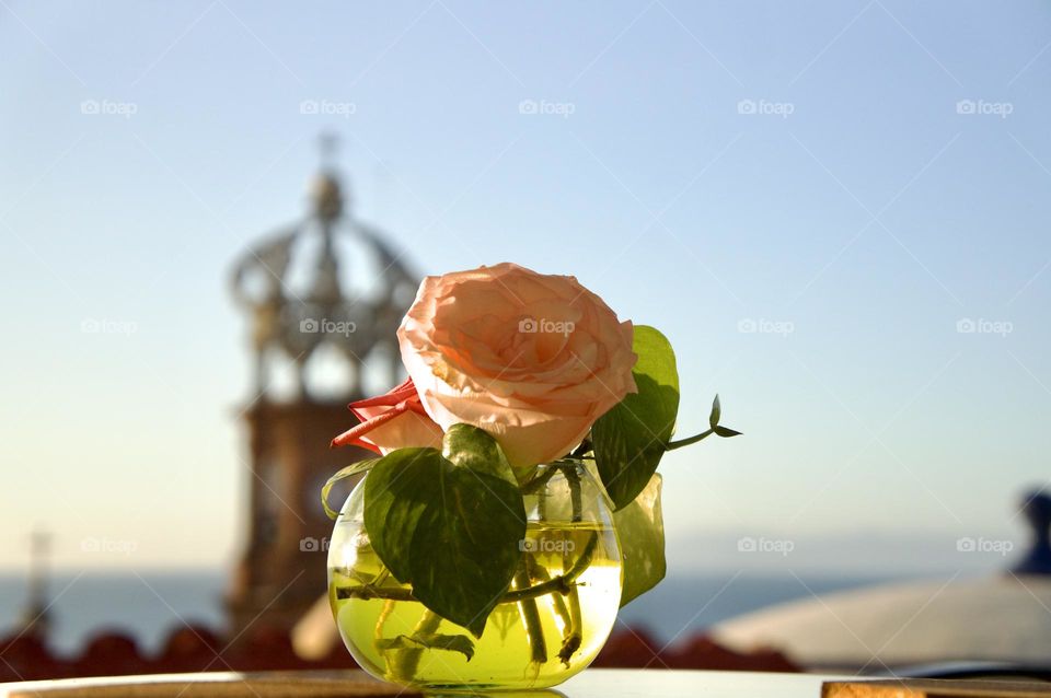 Pink roses in a clear glass vase with the steeple of The Church of Our Lady of Guadalupe.