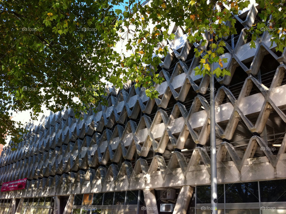 spring city trees art by christianam