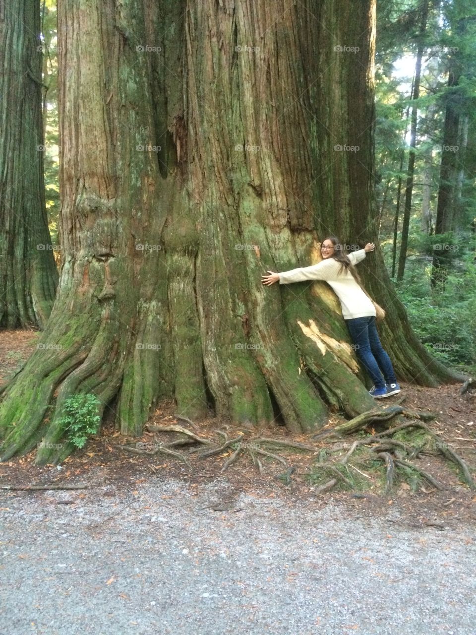 Woman standing near tree trunk