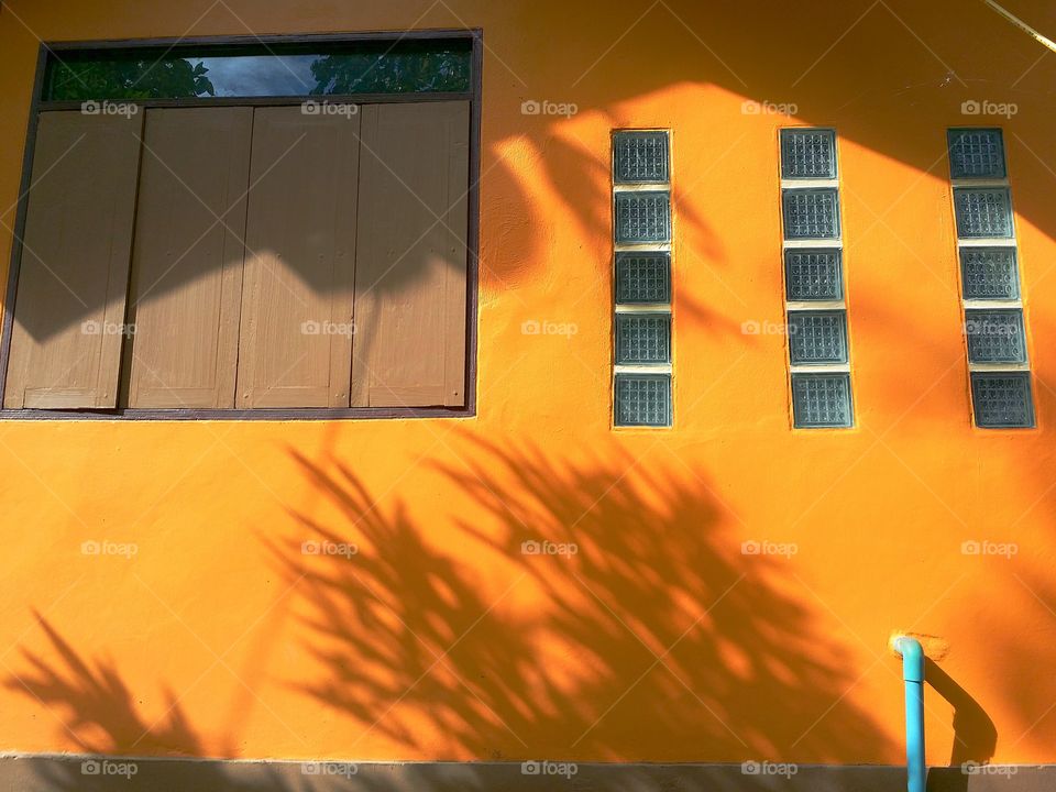 The window is closed On the walls of the house, a beautiful orange. The shadow of the sun shining over the wall into the shadows of foliage and roofs. The pattern adds up to make it look more beautiful.