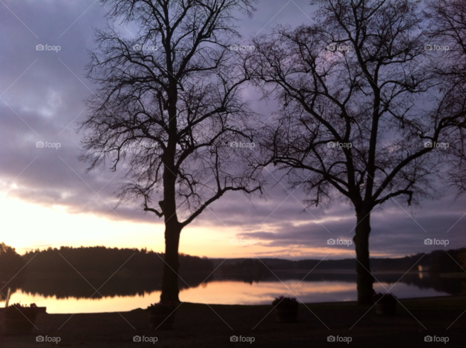 trees water skyline sunrise by MagnusPm