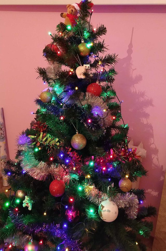 Wonderfully Colored Christmas Tree